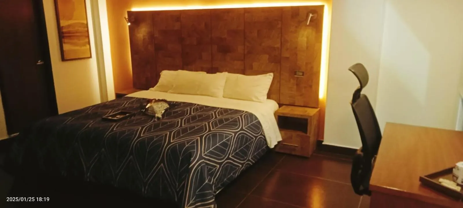 Corcel Modelia - Bp Hotel Bogota